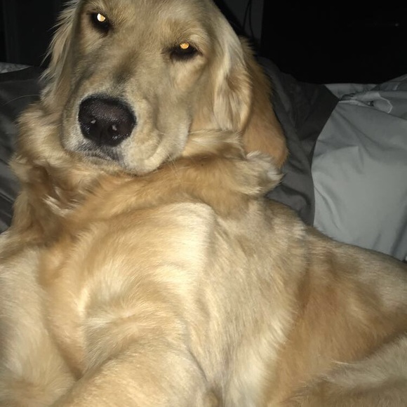 Meet your Posher, Kaylie - Picture 8 of 13